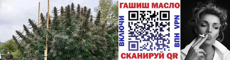Купить где  Голицыно  Дистиллят ТГК вейп с тгк 